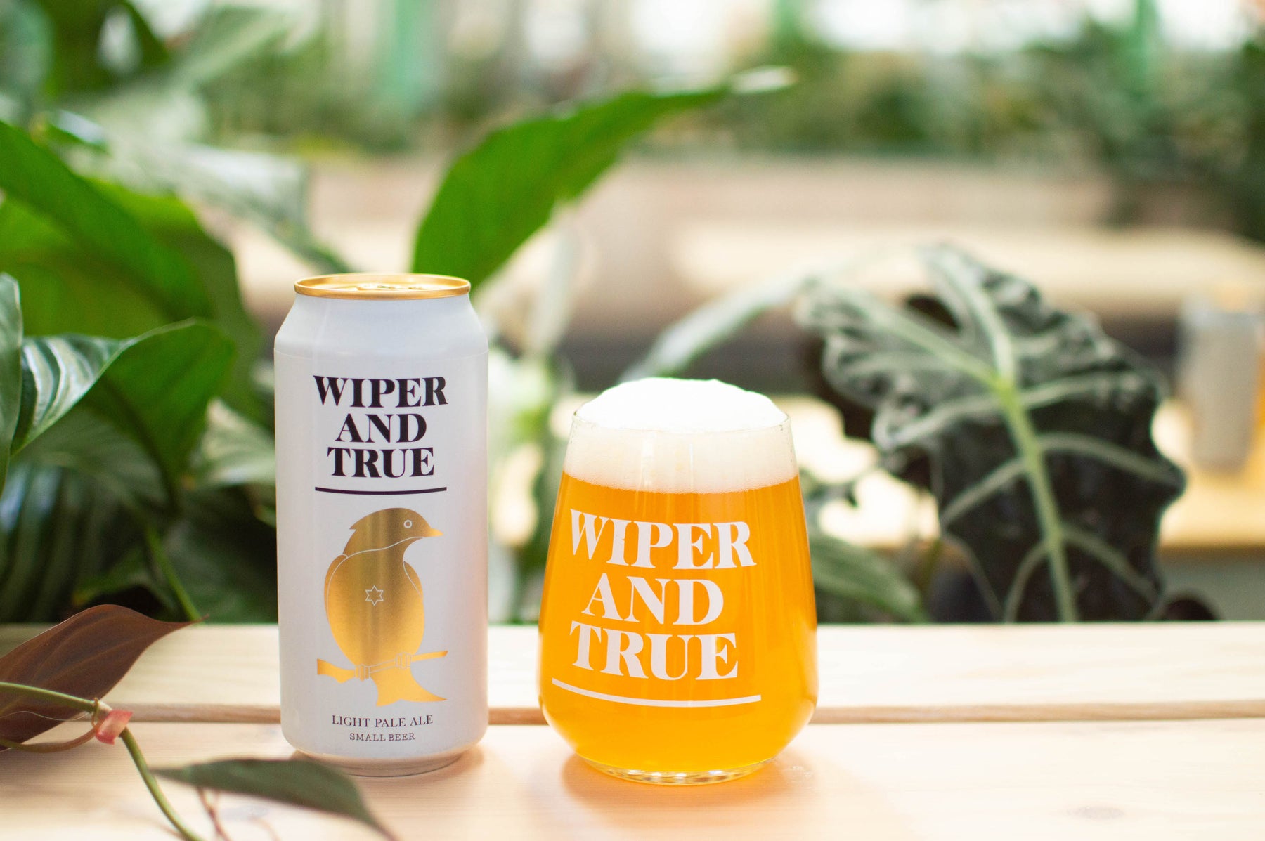 Wiper and True Small Beer Light Pale Ale, can and glass view